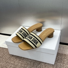 Christian Dior Slippers